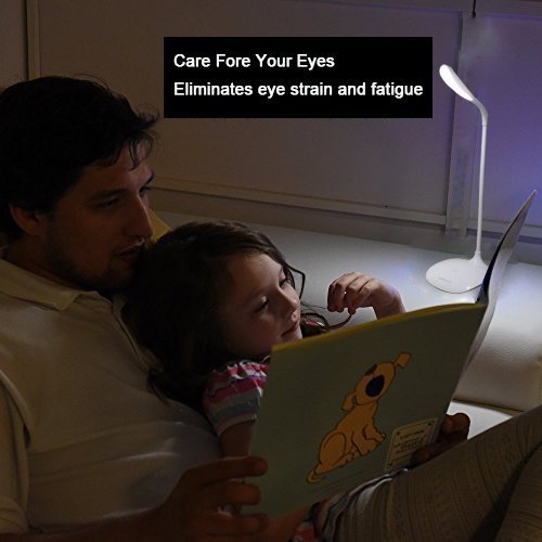 Portable LED Reading Light Adjustable
